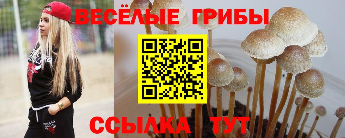 Сибай  Галлюциногенные грибы мицелий  Вход с VPN 